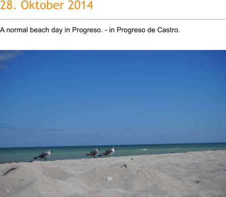 28. Oktober 2014 A normal beach day in Progreso. - in Progreso de Castro.
